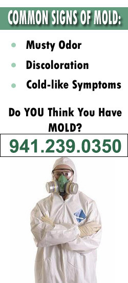 North Port Mold Remediation Contractor