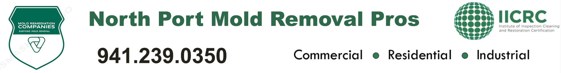North Port Mold Removal Pros